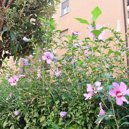 Parmense Appartamento Parma